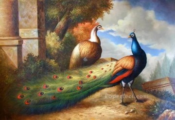dw065bD animal bird Oil Paintings